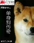 可爱小说全文无弹幕