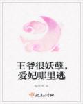 小蝌蚪视频下载污都好好的免费看