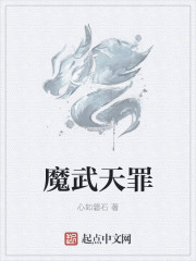 龙腾小说网三宝局长