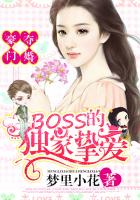 全能王妃火爆京城完整版