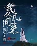 空姐王静全文阅读目录