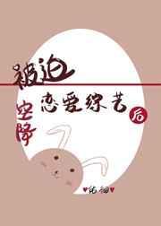 黑夜游侠