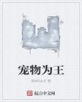 工藤新一的后宫