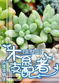 9115视频在线观看