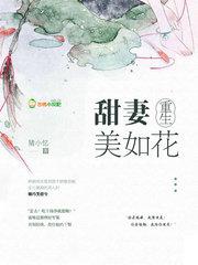 恶毒前妻的佛系日常