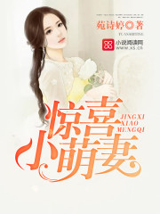 丽图100