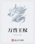 风月无边小说