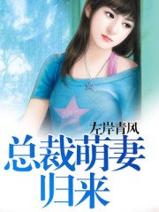 岁岁年年柿子红