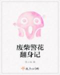 日穴过程小说