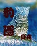 法国航空2满天星法版在线