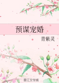 红楼淫史