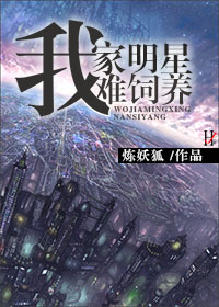 阿启网