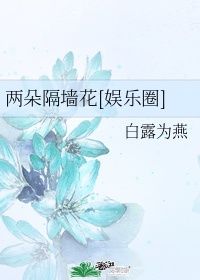 我的老婆是军阀txt