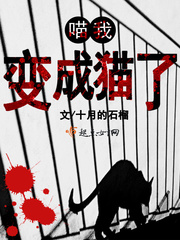 不要播放器的免费视频