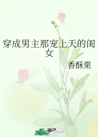 别对我动心小说免费阅读无弹窗
