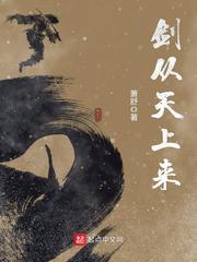 珊瑚宫心海开襟抱枕的设计特点