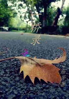 h文小兔高纯度h文