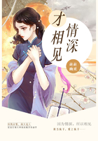 极品家丁萧夫人