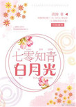 灭龙魔导士