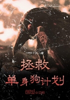 夫人韩国电影在线观看