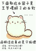 婷婷快播