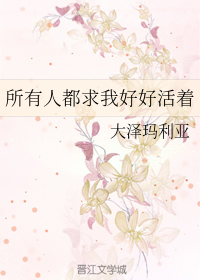 新视觉6090