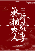 365dvd