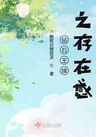 lisaann办公室大战