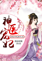 镖行天下前传之四百里加急