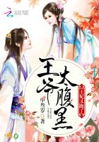 闪击波兰
