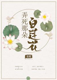 吉泽明步伦理片