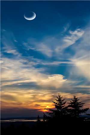 关关雎鸠 折火一夏