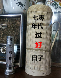 丁香成人区