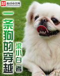 鲨鱼韩剧
