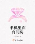 421页pdf内容