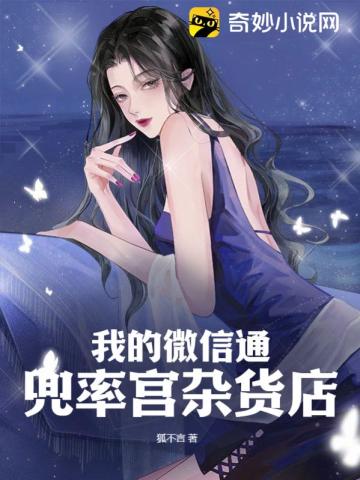 蓝导航 第一正品导航
