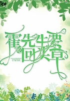 鸡毛飞上天电视剧全集无须会员
