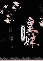 秘密入口地址1地址2地址3 帧