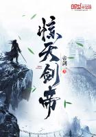红楼之挽天倾追书