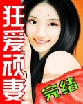 潇湘溪苑兄弟训诫藤条