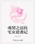 坚持四项基本原则是指