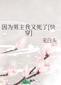 总裁的天价穷妻全文免费阅读