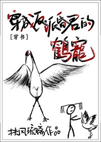 友金所