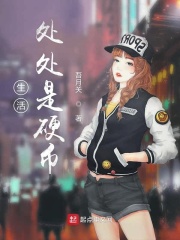神圣使命 电视剧
