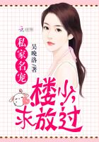 bl网站