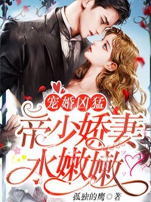 爆肝工程师风车动漫