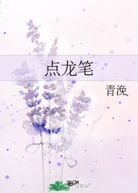 情乱莲花村林天成
