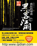 flash游戏播放器