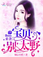 师傅不可以!限最新章节