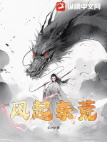 继承人电视剧剧情介绍